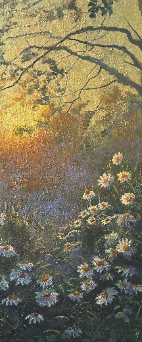 Daisy Reverie by Vladimir Jarmolo