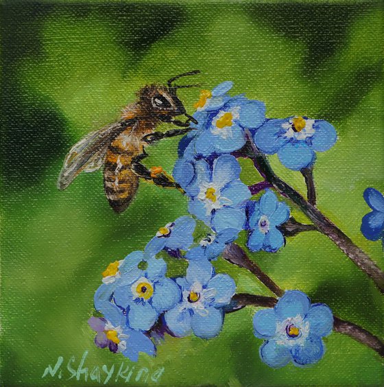 Tiny Bee on Forget-Me-Nots