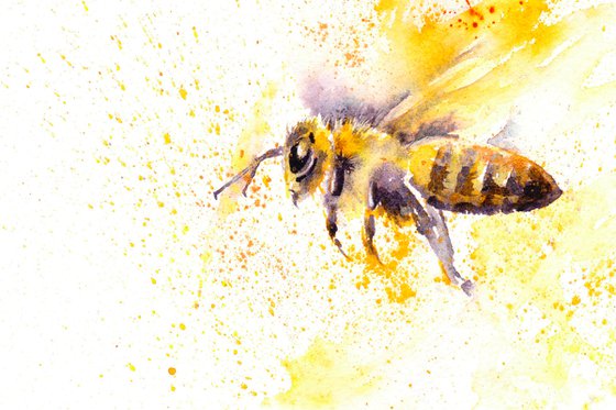 Bee painting, Honey Bee, Original Watercolour, Ready to hang