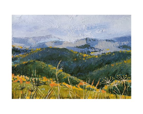 Clouds Over Gold of Grass