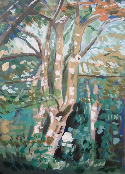 Tree Study #7 by Kitty  Cooper