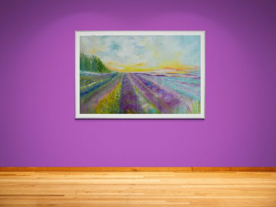 Lavender Fields 2026