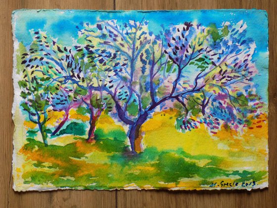 Olive tree of life
