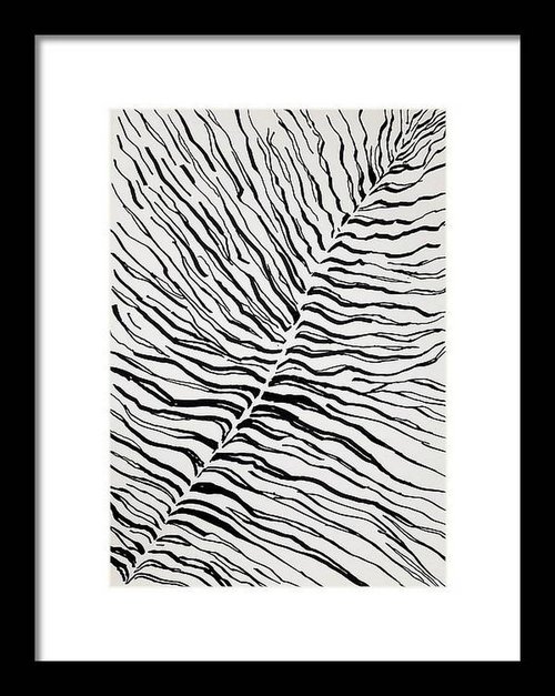 Stripes 1 Black and White by Asha Shenoy