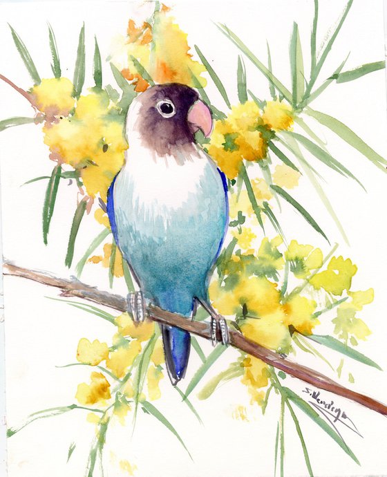 Lovebird