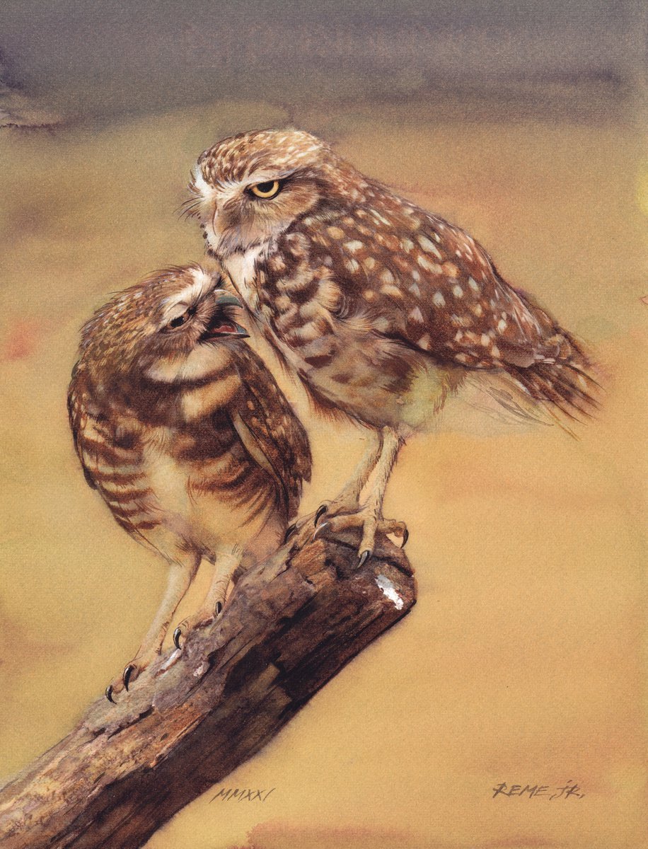 BIRD CCIV OWLS by REME Jr.