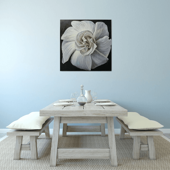 White Camellia Bloom