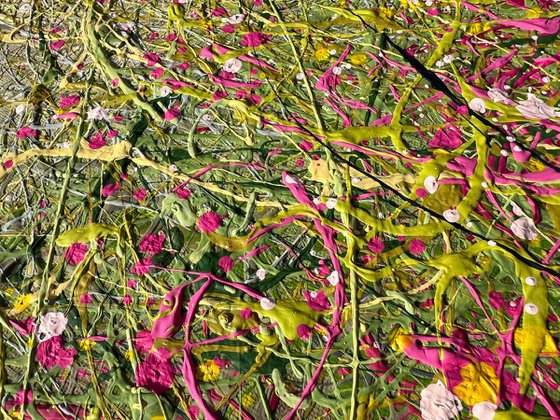 Dreaming Blooms