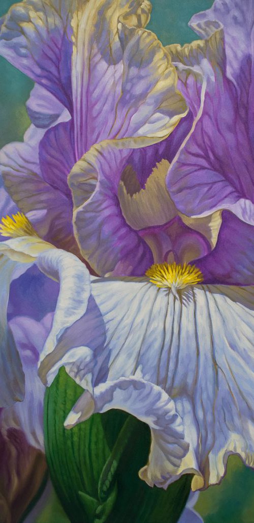 Floralscape 4: Mauve and Purple Irises by Fiona Craig