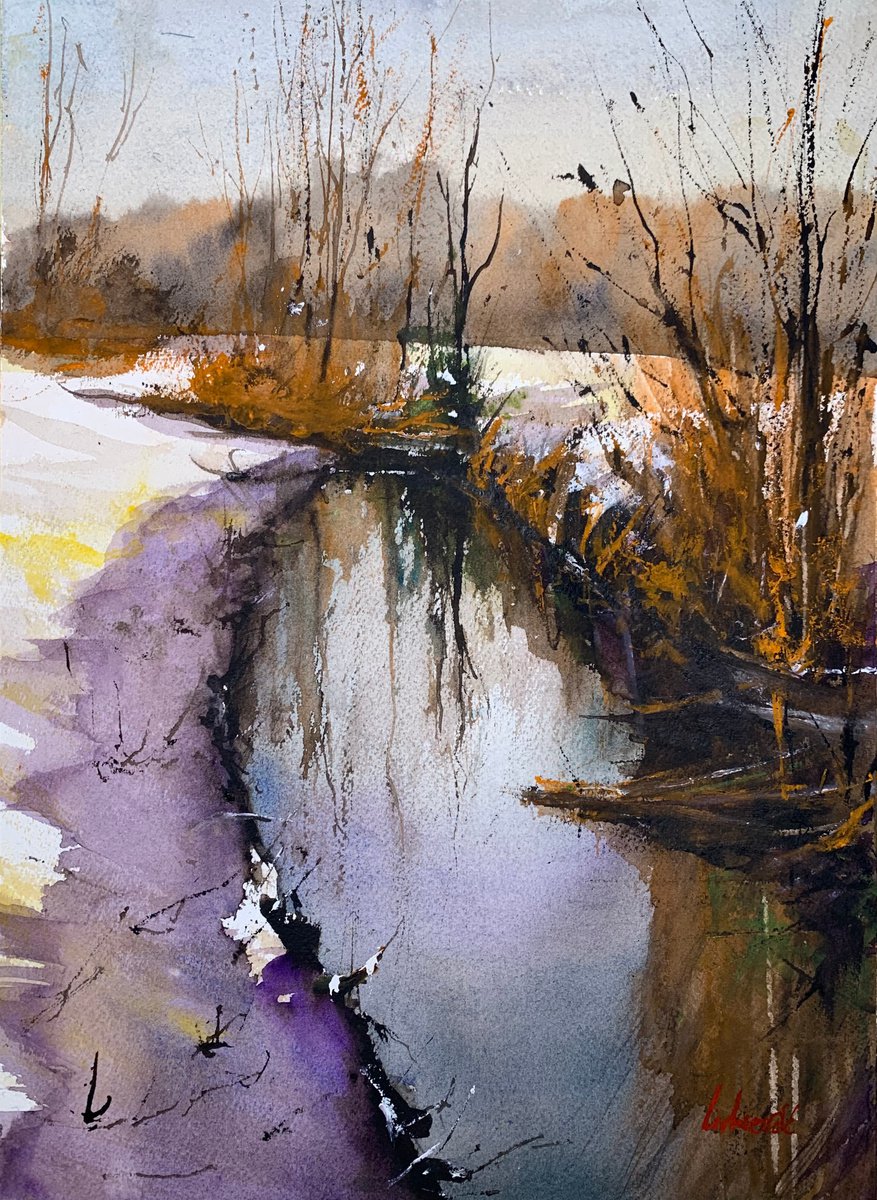 Winter scene - lake by Tihomir Cirkvencic