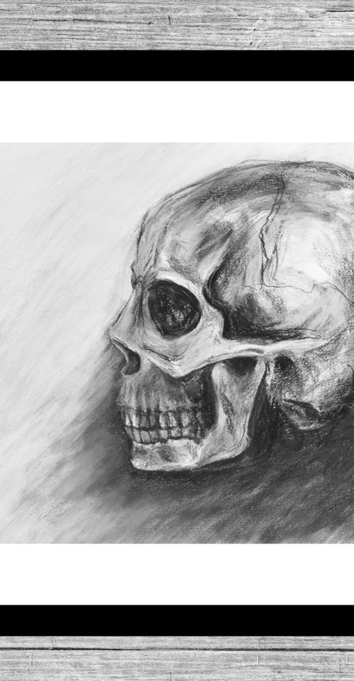 Skull Sketch Profile by Veronica Lamb