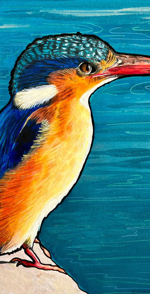 Kingfisher by Karen Elaine  Evans