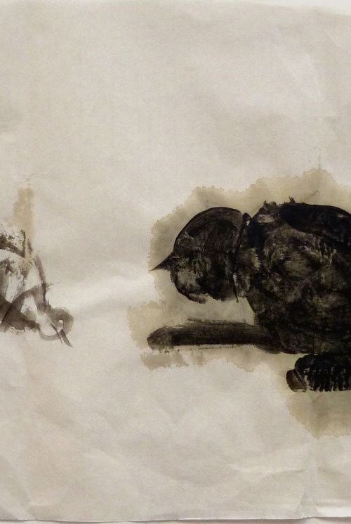 Cat and bird 1, ink painting on chinese paper, 33x53 cm by Frederic Belaubre