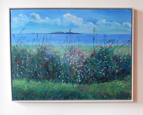 Wild Flowers And The May Island, Version Three'