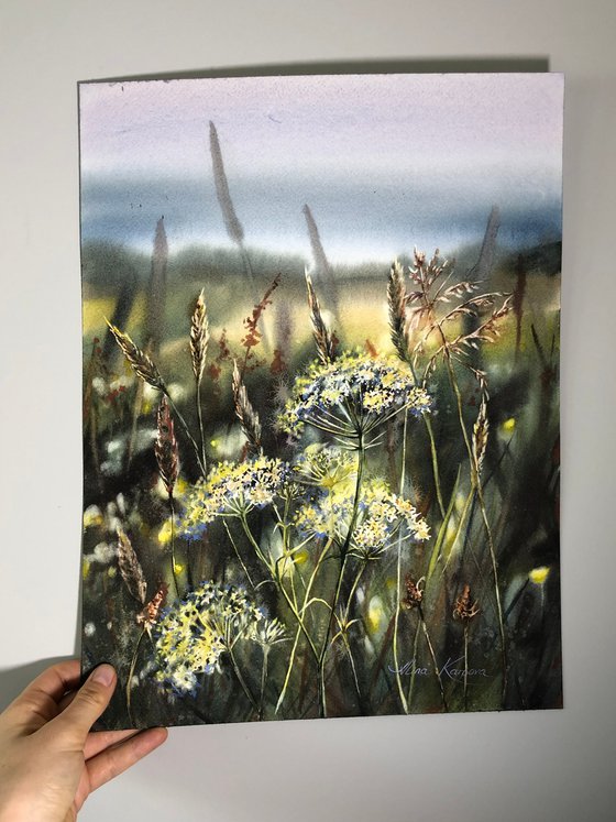 Wildflower meadow