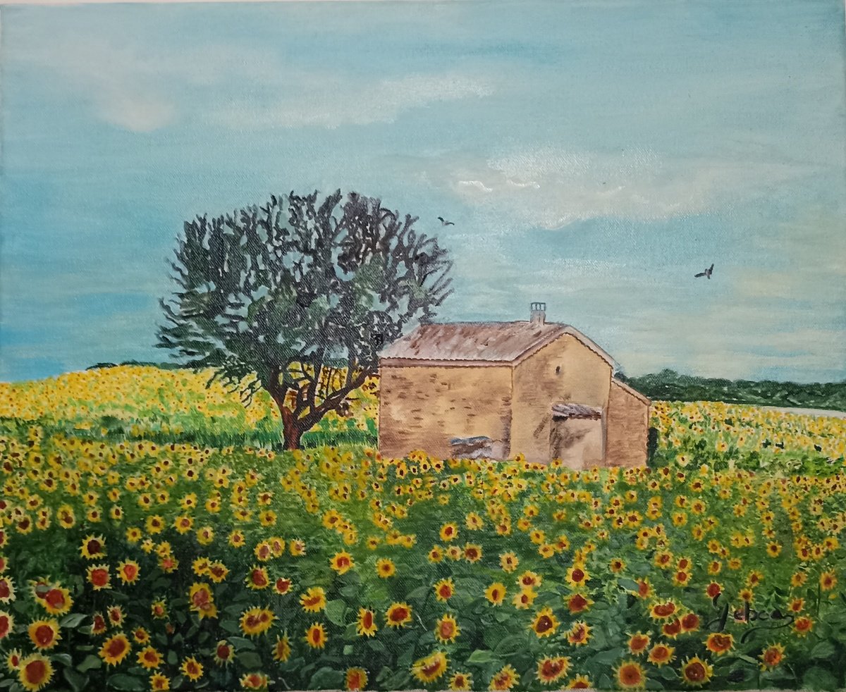 Impressionistic Landscape Oil Painting By Isabelle Lucas, 18 X 15, Sunflowers Field, Original Artwork