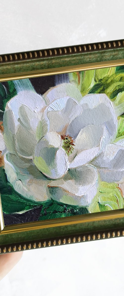Magnolia flower by Nataly Derevyanko