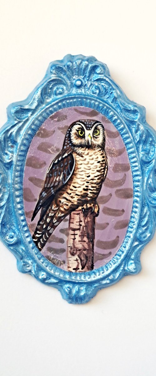 Northern hawk owl, part of framed animal miniature series "festum animalium" by Andromachi Giannopoulou