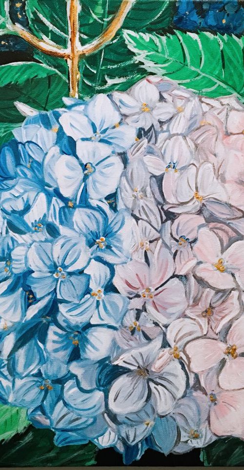 HYDRANGEA by HSIN LIN