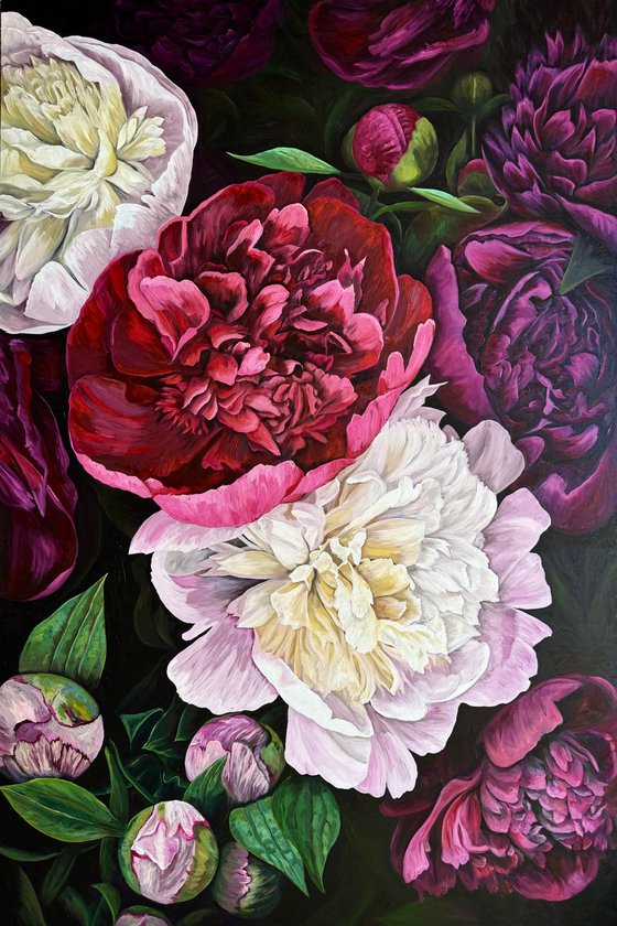 The Radiance of Peonies