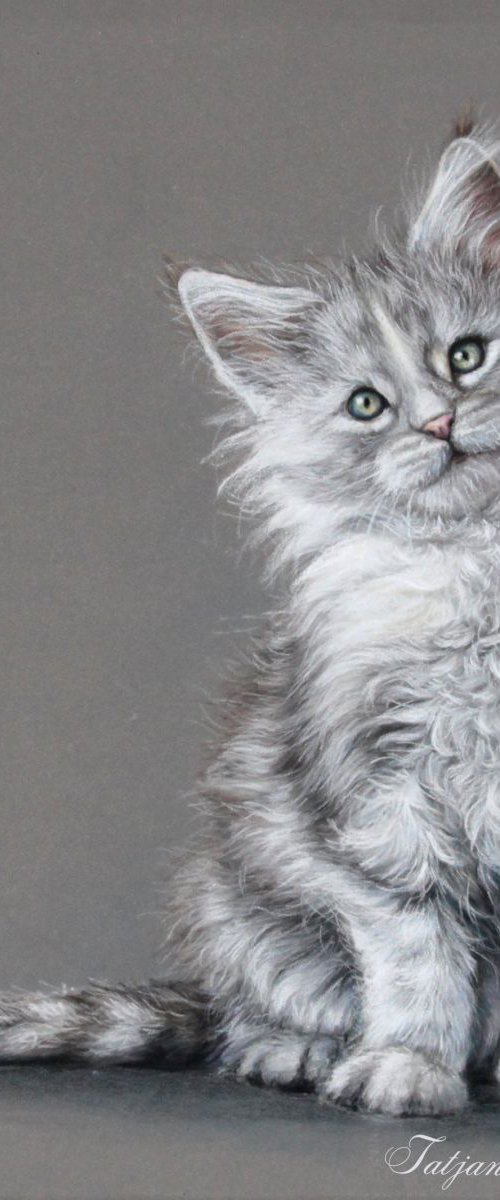 White Kitten by Tatjana Bril
