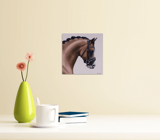 Horse Portrait 12