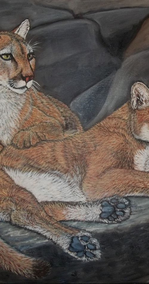 Mountain lions, cougars by Sofya Mikeworth