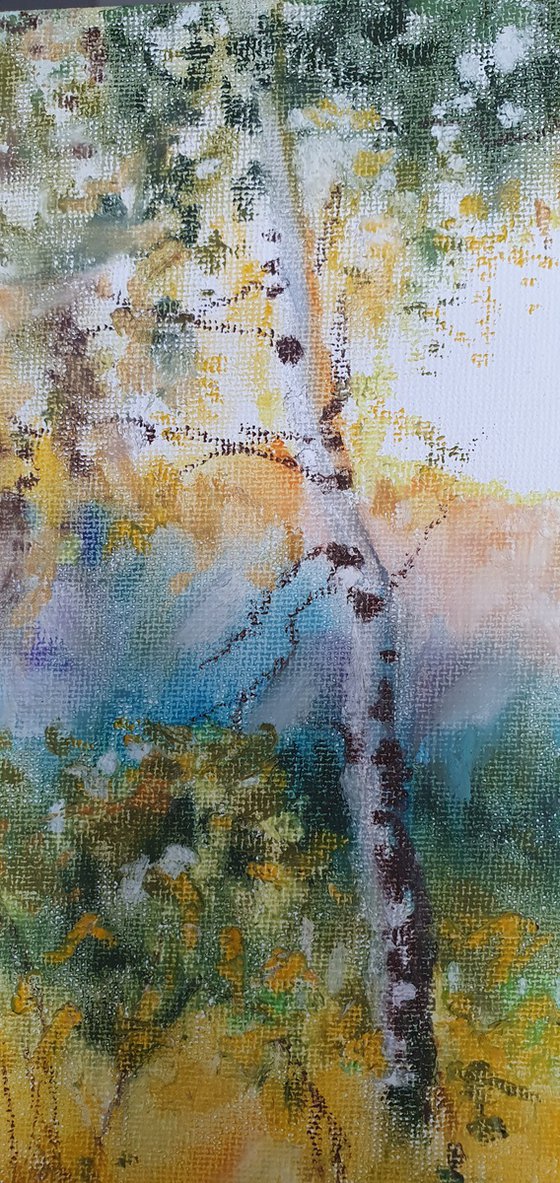 Birch grove