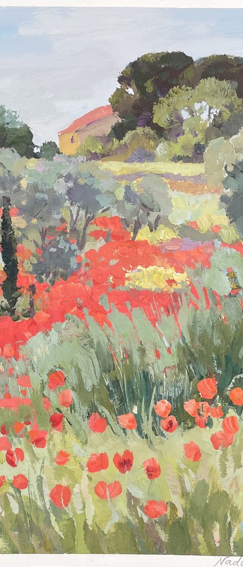 Olive trees in the poppy field . Occitanie. by Nadezda Stupina