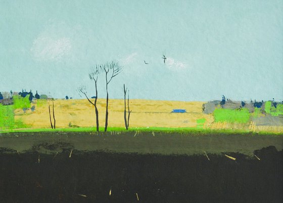 Land in spring