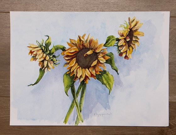 Sunflowers