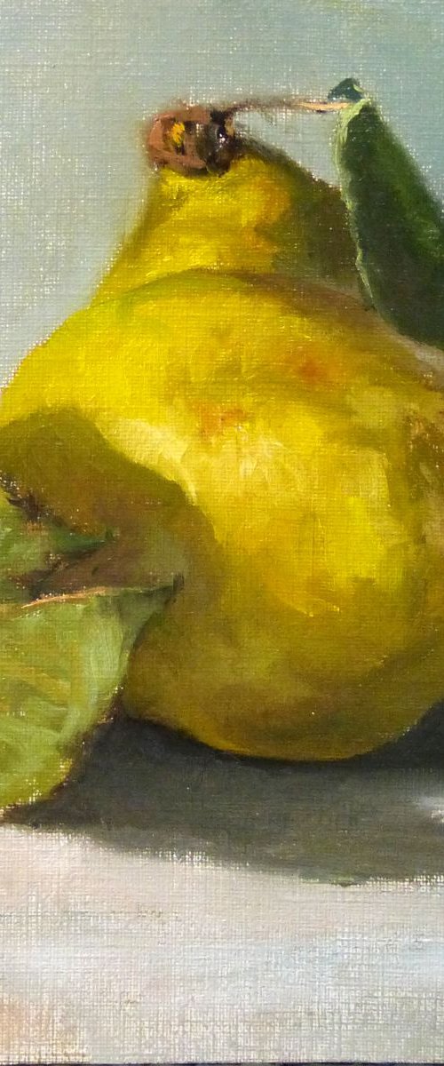 Quinces by Pascal Giroud