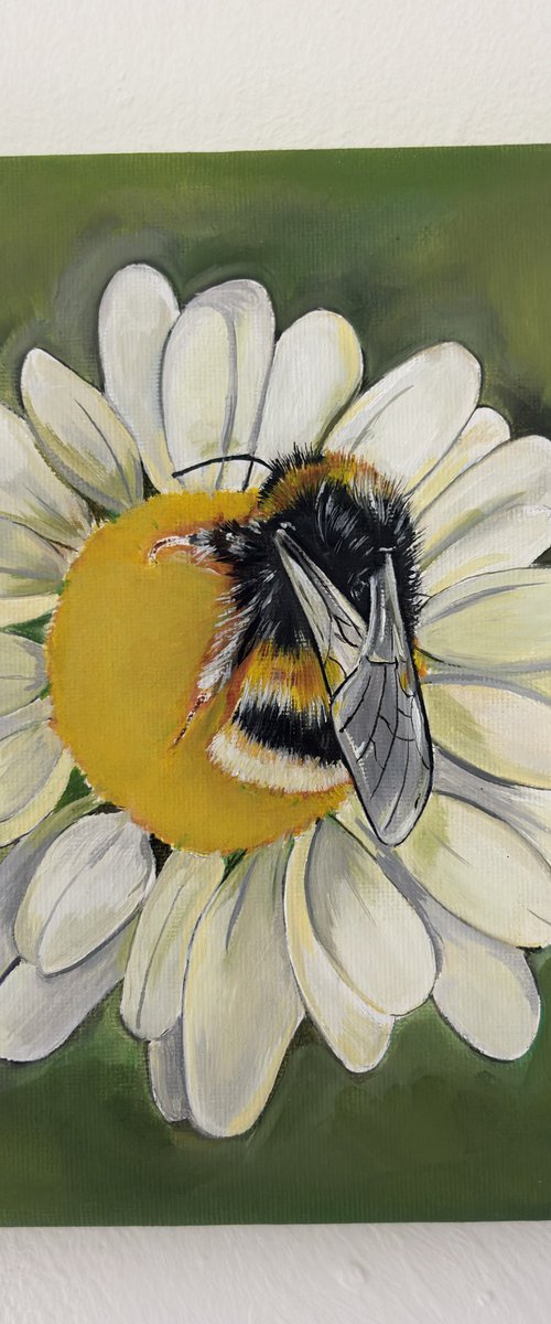 Bee on flower by Bethany Taylor
