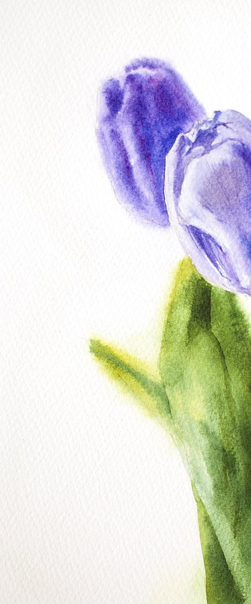 Purple tulips. Minimalistic still life with flowers nature green decor white bouquet wall watercolor small painting original bright gift by Sasha Romm