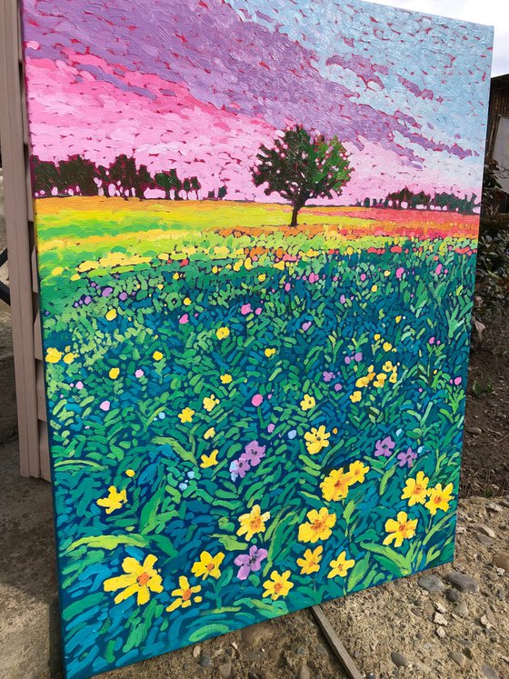 Blooming fields