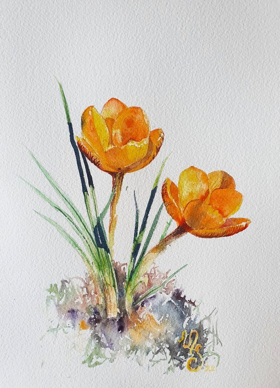 Triptych yellow flowers