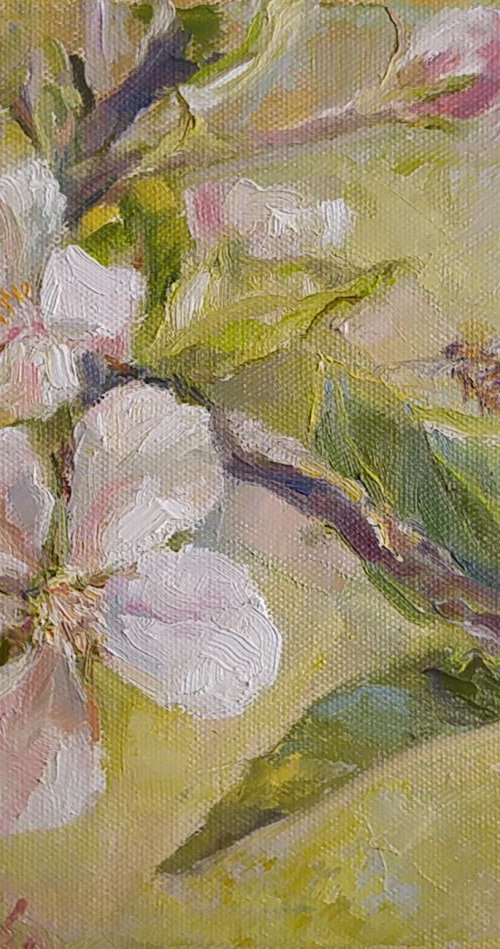 Spring flavor by Alexander Koltakov