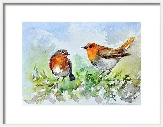 Two Robin birds on a tree