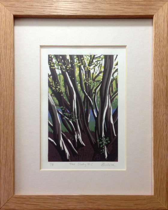 Tree Study #2, framed