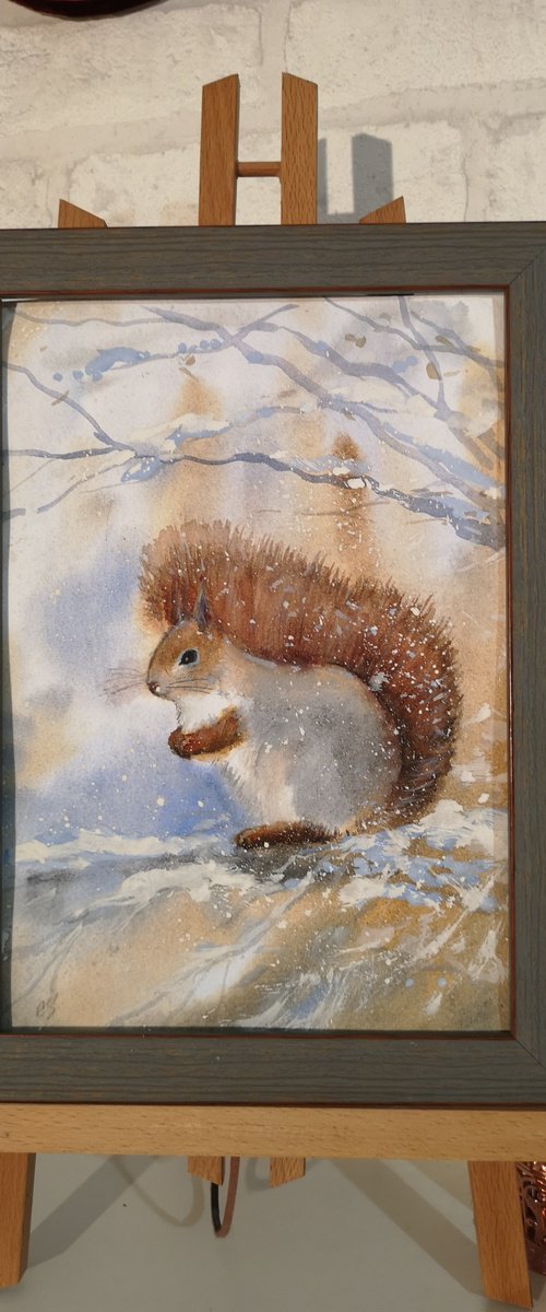 Squirrel by Elena Sanina