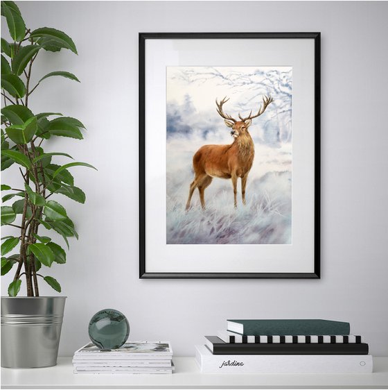 Stag Deer in Winter Forest - Christmas gift