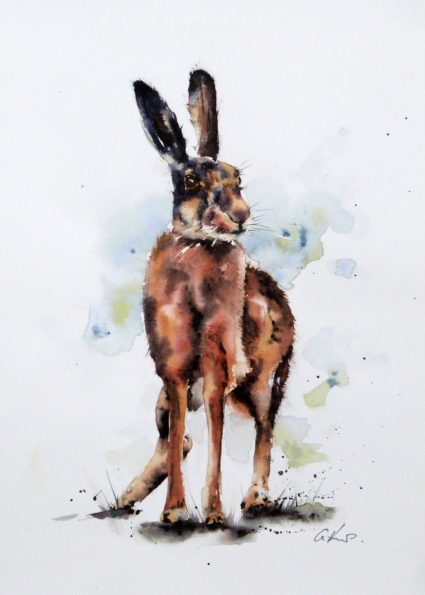 Hare. Original Watercolour Painting. by Graham Kemp