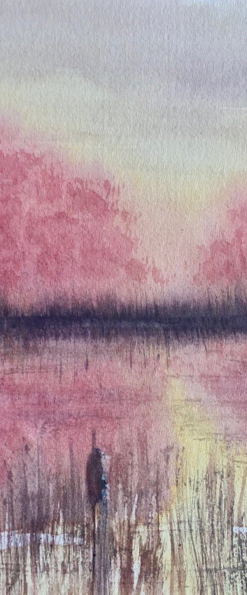 Blossoms by the lake by Samantha Adams