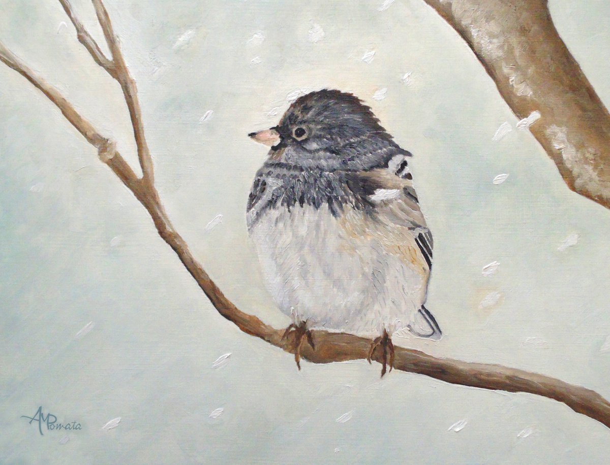Snowbird In The Blizzard by Angeles M. Pomata