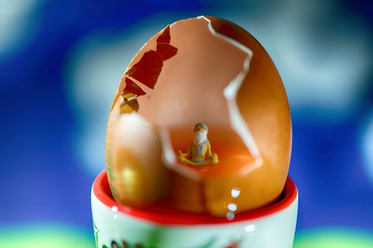 Organic Abstract Photograph By Marc Ehrenbold, 40 X 30", Yolka, Original Artwork