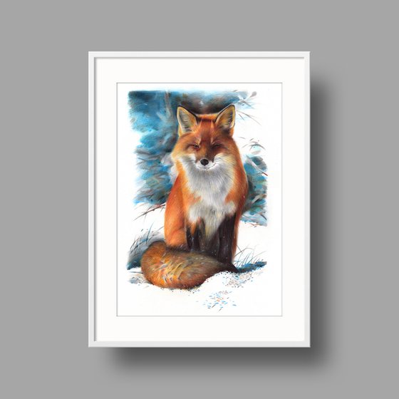 Red Fox Drawing by Daria Maier | Artfinder