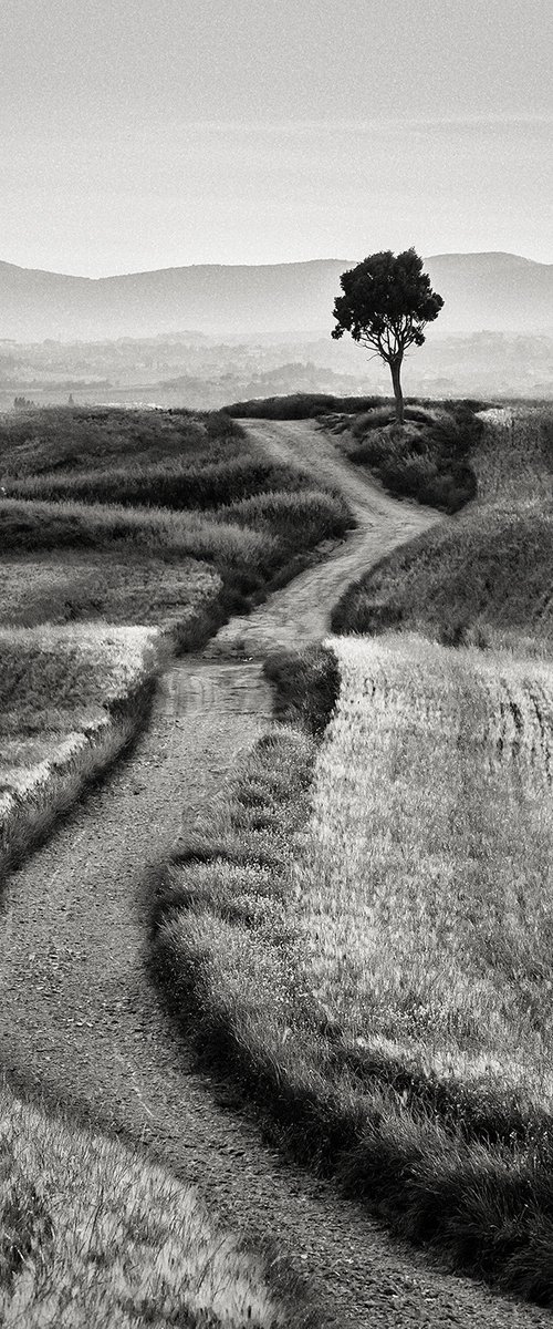 Countryside in Tuscany - Black and white landscape art photo by Peter Zelei