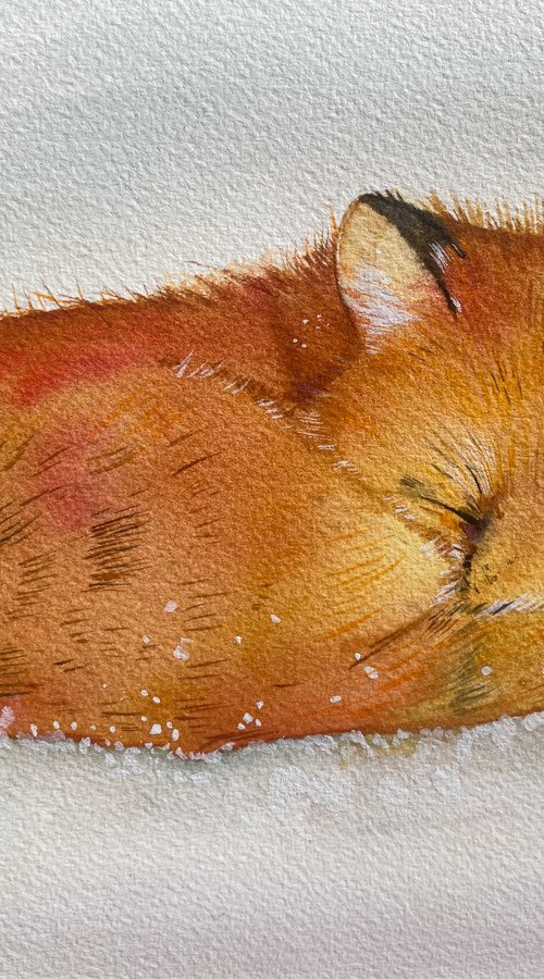 Sleepy fox in the snow. Watercolour painting by Bethany Taylor