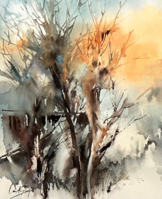 Winter Trees