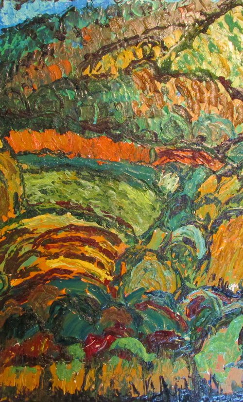 Highland vegetation by Richard Meyer